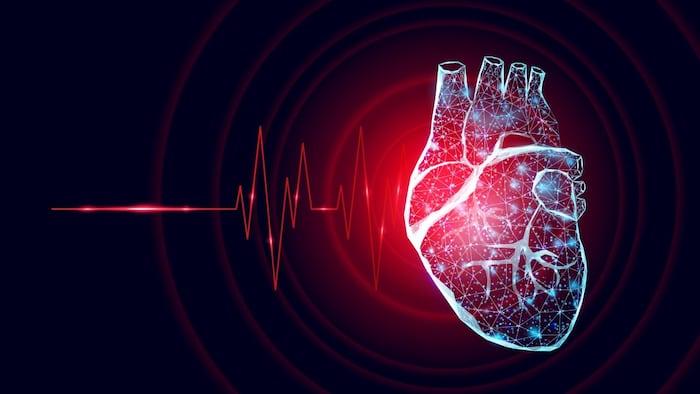 HeartSheet was heart to provide a new treatment option for severe heart failure to avoid heart transplant.