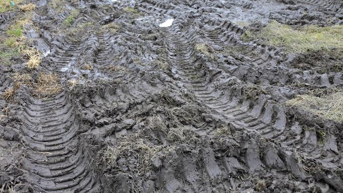 Muddy tracks