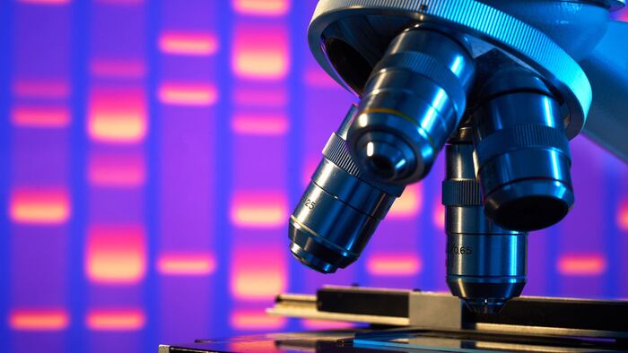 LabmicroscopeDNAgel_1200x675