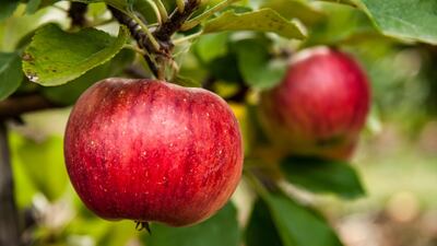 AstraZeneca Reaps Fruit From BenevolentAI Deal
