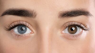 Drug/Cosmetic Uncertainty Clouds CIR Panel Review Of Prostaglandin Analogs