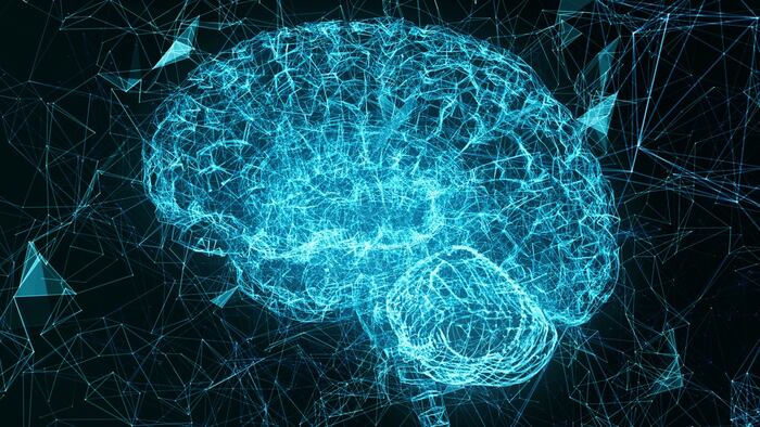 Brain scan