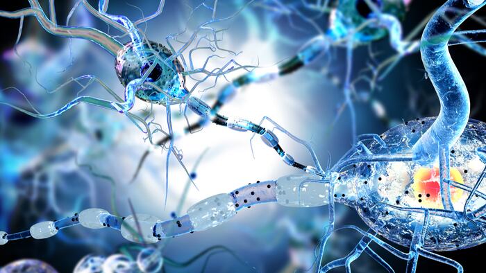 3d illustration of nerve cells, concept for Neurological Diseases, tumors and brain surgery.