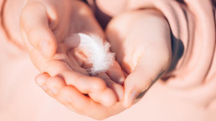 Girl's hand with a feather inside.