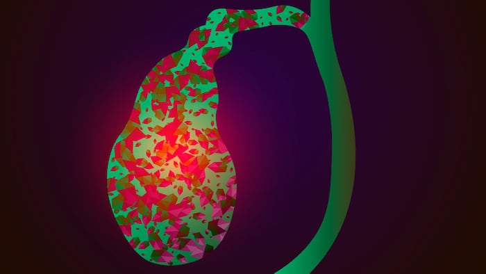 Biliary tract