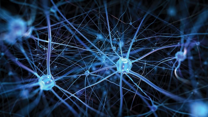 Neurons and nervous system. 3d render of nerve cells