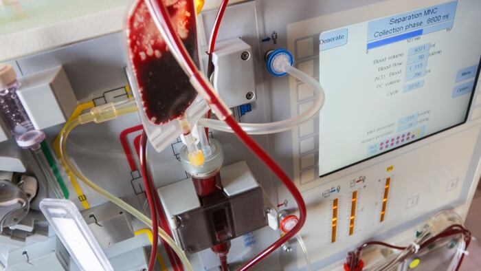Stem cell