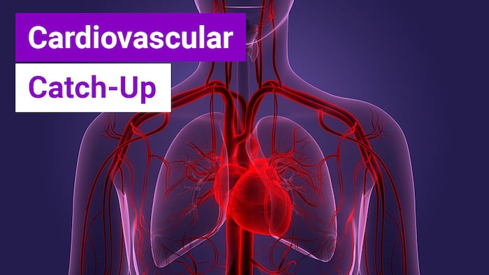 Cardiovascular Catch-Up