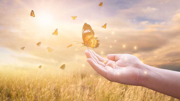 Butterfly hand