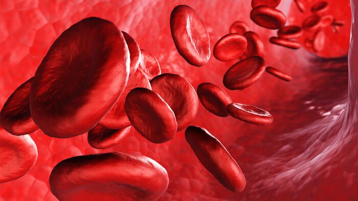 3-D Rendering Red Blood Cells