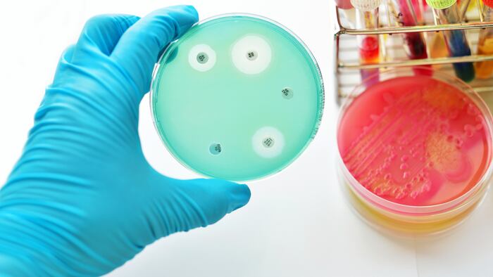 PS1911_Antimicrobial_392702734_1200.jpg