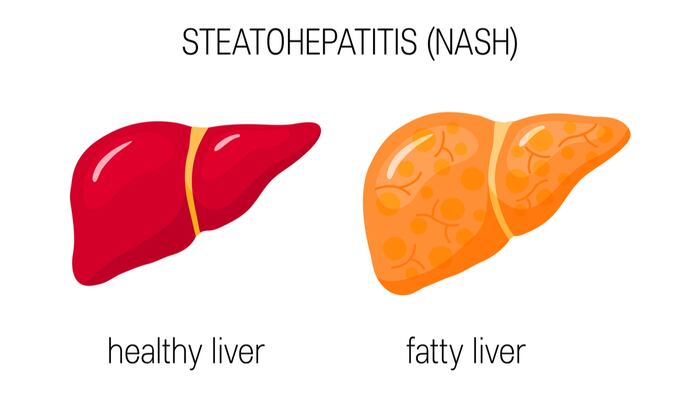 Liver