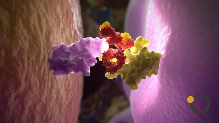 OncoSec antibody
