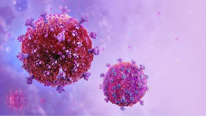 virus