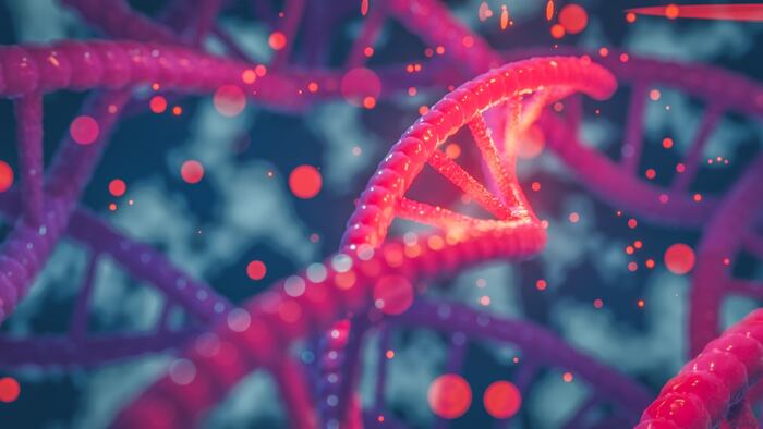 DNA helix