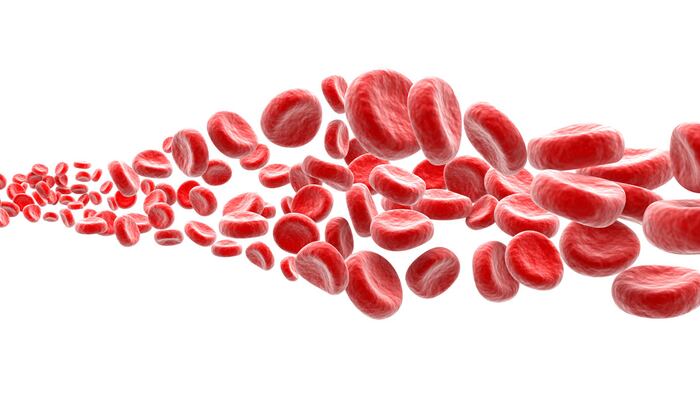 RedBloodCellsOnWhite_1200x675