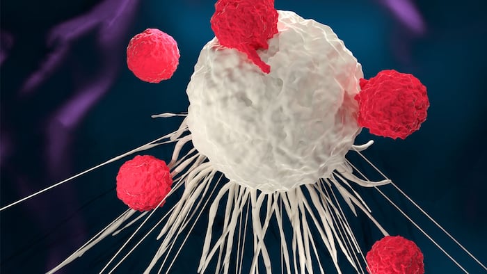 3D illustration of T cells attacking a cancer cell (CAR-T cell therapy) - Illustration