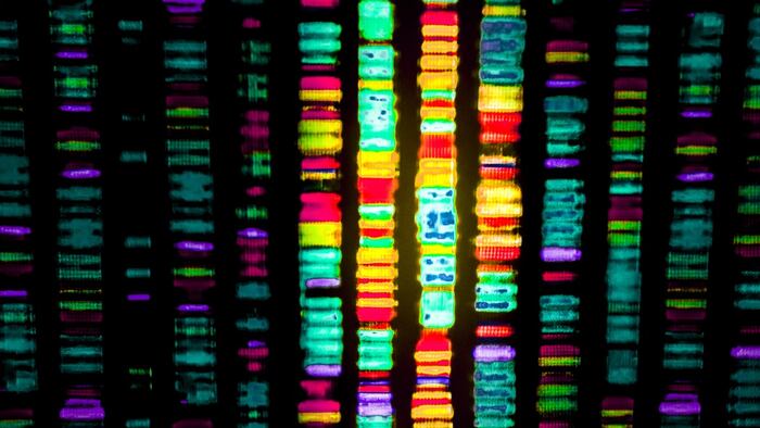 DNA
