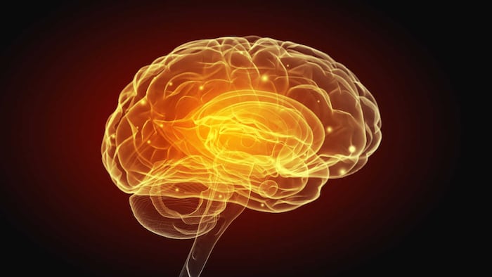 Science image with human brain on dark background