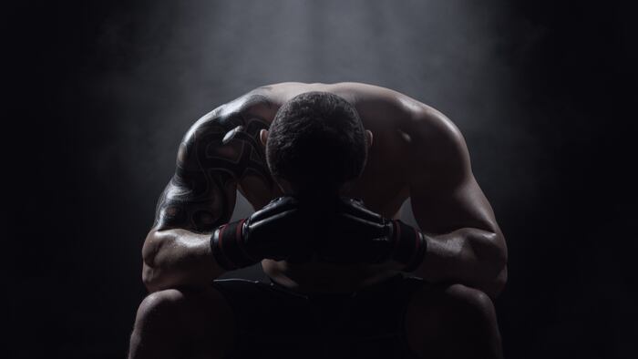 Boxer