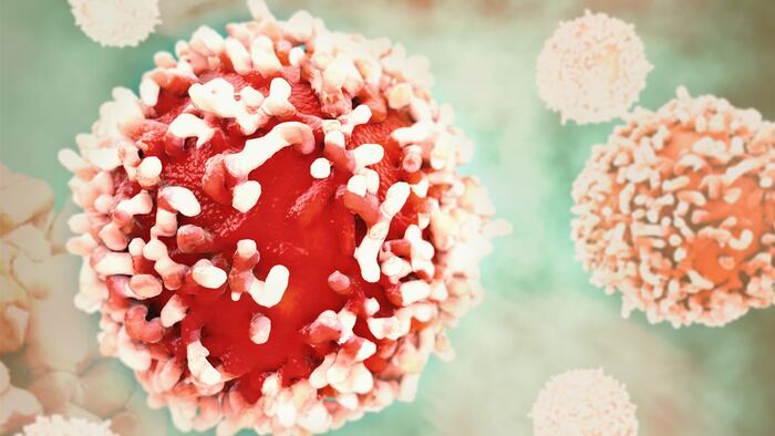 Cancer cell