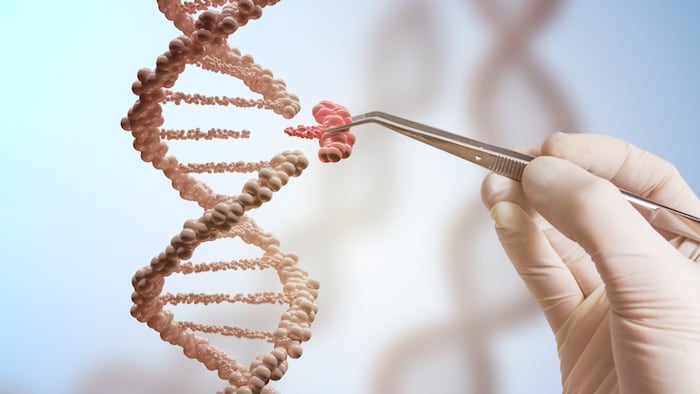 gene therapy