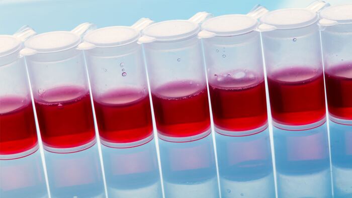 Testing the drug on the basis of stem cell