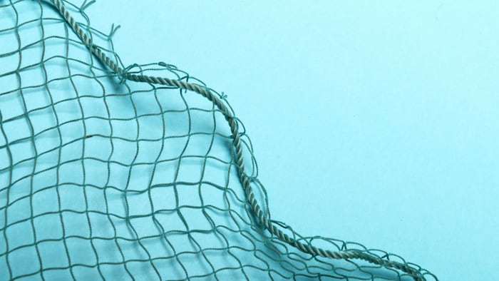wide net