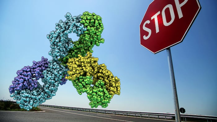 photo illustration/shutterstock