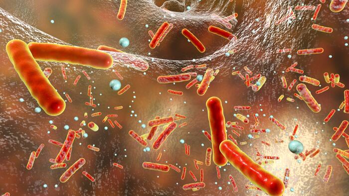 Antibiotic-resistant-bacteria