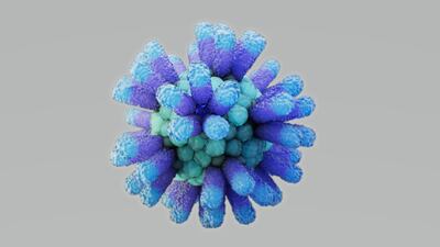 Ring Therapeutics Turns To Anelloviruses To Disrupt Gene Therapy Space