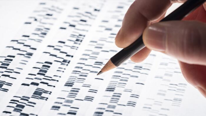genetic reasearch