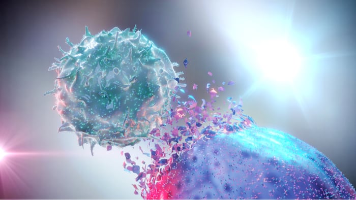 NK Cell