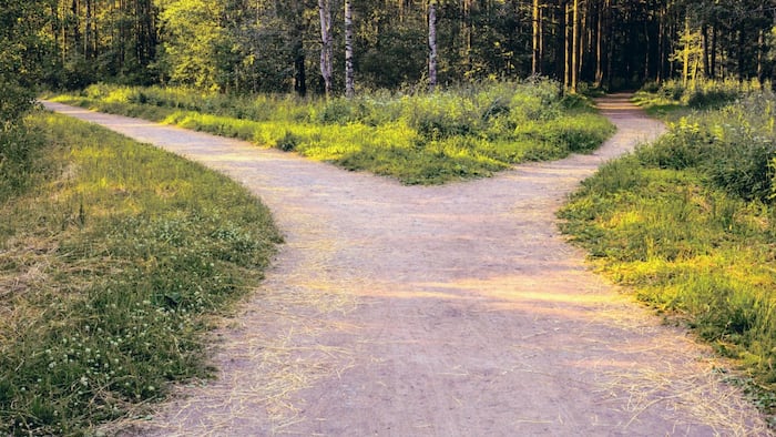 Diverging paths