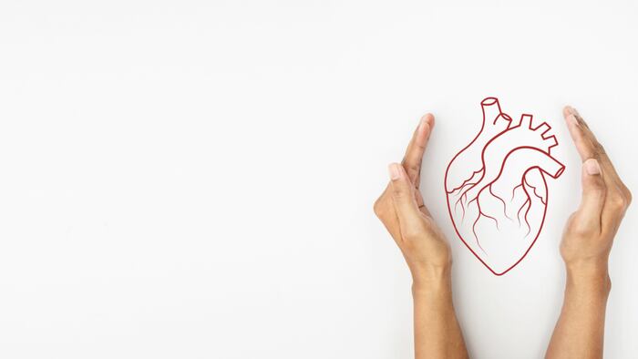 cardiovascular diseases