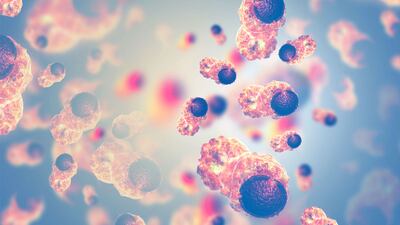 ASCO Round Up: Notable Presentations From Annual Cancer Conference