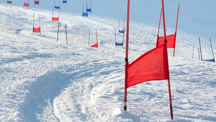 Ski gates