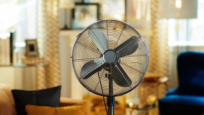 fan
