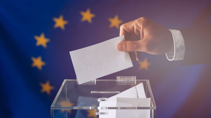 EU Vote