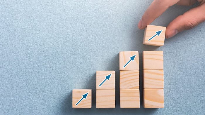 business growth