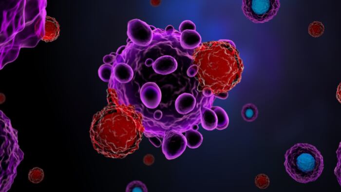 T cells attacking cancer cells