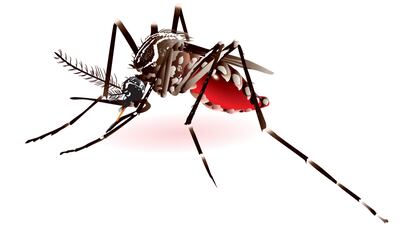 Landmark Malaria Vaccine Pilot Launches In Malawi 