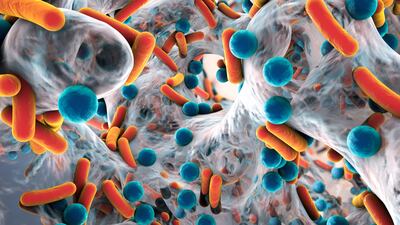 Novel Antimicrobials: Firms Urged To Draw Up Access & Stewardship Plans For Lower-Income Countries