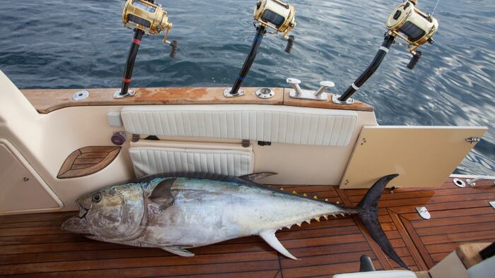 PS1911_Big-game-fishing_223578337_1200.jpg