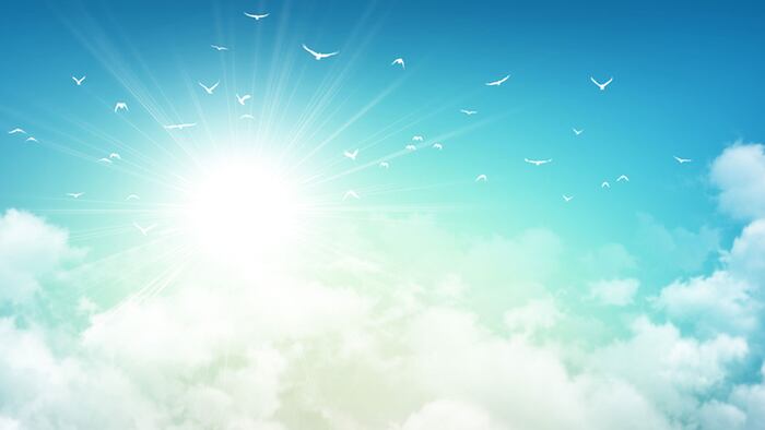 Early morning sky background, sunlight through white clouds and free birds flying away
