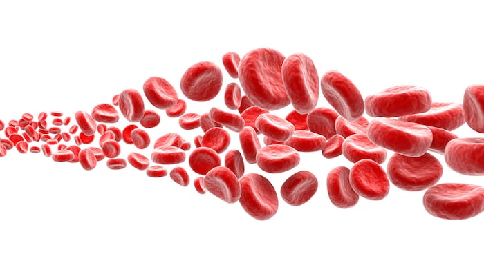 RedBloodCellsOnWhite_1200x675