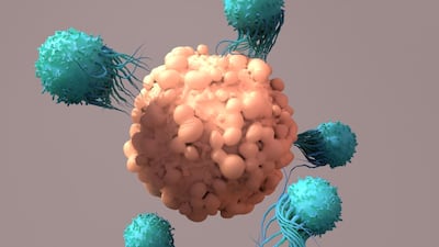 Targeting Solid Cancers With CAR-T: Japan’s Noile-Immune Looks To Partner Platform