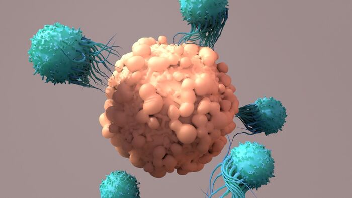 Noile's CAR-T therapy candidates target solid tumor.