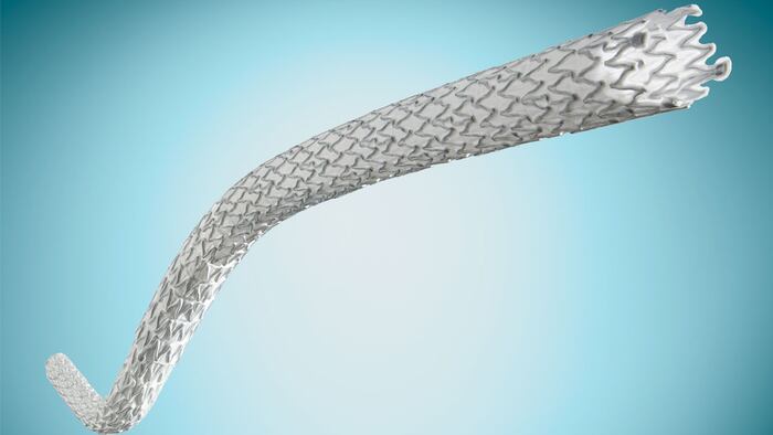 LimFlow Stent