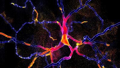 Gain Therapeutics Navigates Market Fluctuations While Developing Parkinson’s Treatment
